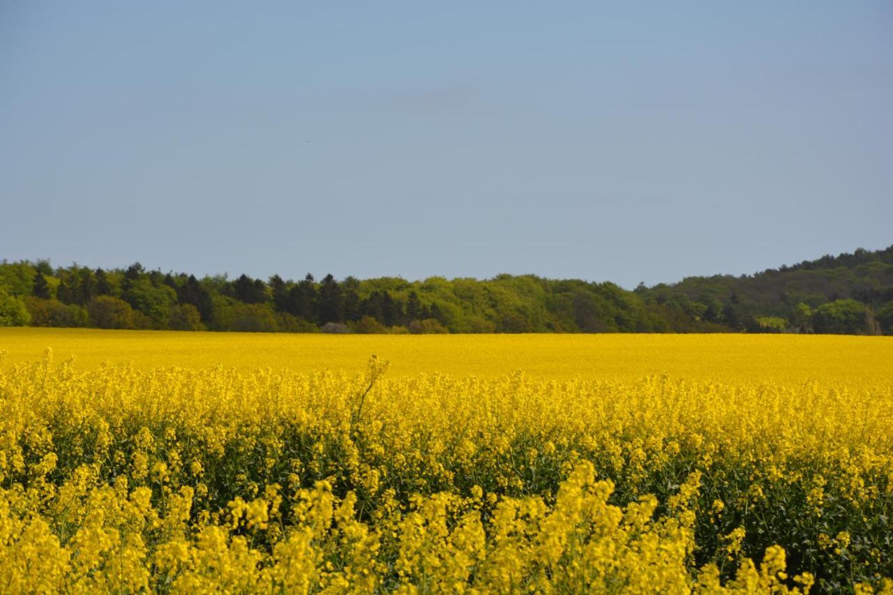 Reethäuser auf Rügen Middelhagen Exterior foto